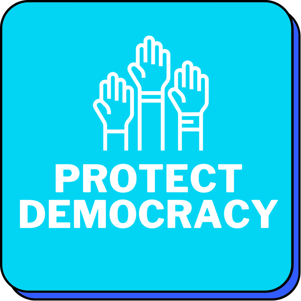 protect democracy button